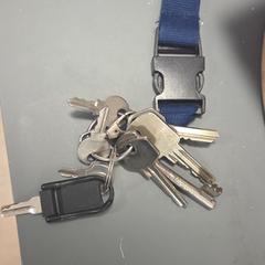 Sleutels, segundo informou a iLost