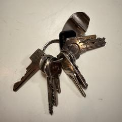 Sleutelbos، كما تم الإبلاغ عنه عبر iLost