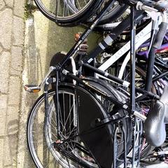 Herrenfahrrad Gazelle, gemeldet von Stadswerk072 über iLost