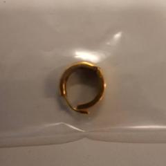 Fülbevaló, amint azt Zuyderland MC Sittard-Geleen az iLost segítségével jelentette.