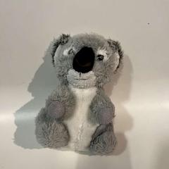 Koala, rapporterat av Room Mate Bruno med iLost