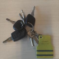 Sleutelbos, iLost에 보고됨