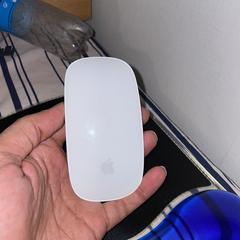 Magic Mouse, come riportato a iLost