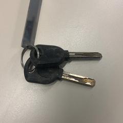 Sleutels, zoals gemeld door Gemeente Wijk bij Duurstede met iLost