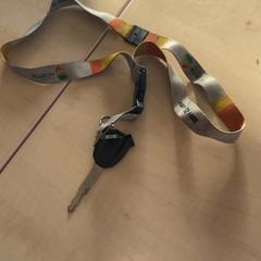 Klíč, jak nahlášeno Blauwnet Zwolle pomocí iLost