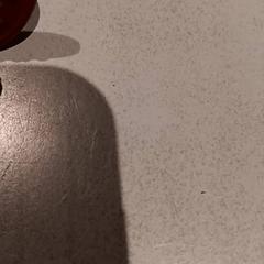 Speenkoord, segons ha informat De Efteling mitjançant iLost