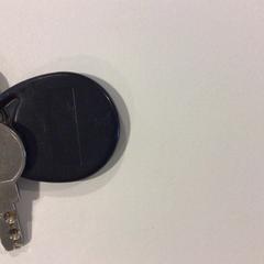 Sleutelbos Met Tag, som rapportert av Gemeente Veenendaal ved bruk av iLost