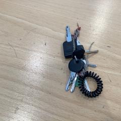 Keychain, as reported by Gemeente Gooise Meren using iLost