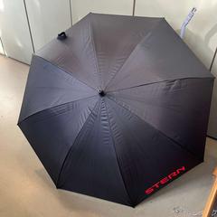 Regenschirm zwarte paraplu met zilveren binnenkant, gemeldet von Hortus über iLost