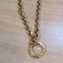 Collaret, segons ha informat Het Spoorwegmuseum mitjançant iLost