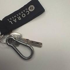 Nycklar, rapporterat av ilévia med iLost