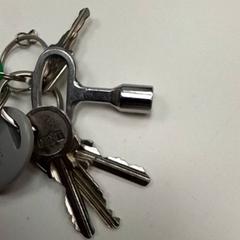 Sleutel, zoals gemeld door ilévia met iLost