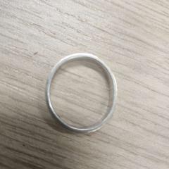 Ringe met datum 2024, som rapportert av Gemeente Westland ved bruk av iLost