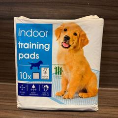 Accessoires huisdier - indoor training pads, segundo informou Van der Valk Hotel Zwolle usando iLost