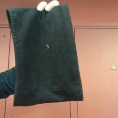 Scarf, rapporterat av MEININGER Hotel Bordeaux Gare Saint-Jean med iLost