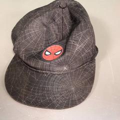 Gorra, ha sido reportado por Diergaarde Blijdorp con iLost