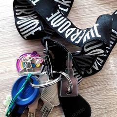 Kľúčenka, ako bolo nahlásené EBS Tramplein pomocou iLost