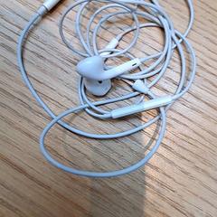 이어폰, iLost를 사용하여 Rijksmuseum van Oudheden에 보고됨