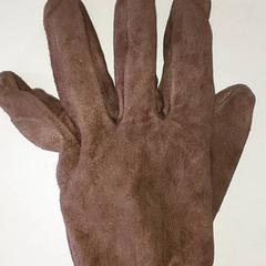 Kleding - Handschoen, zoals gemeld door Regio Antwerpen - Brussel met iLost