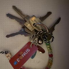 Sleutelbos, come riportato a iLost