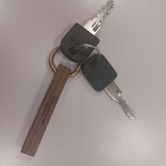 Klíče Zwart, jak nahlášeno Vrije Universiteit Amsterdam pomocí iLost