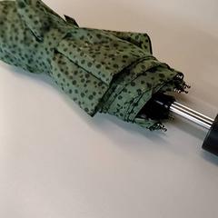 우산, iLost를 사용하여 Padualaan 99에 보고됨