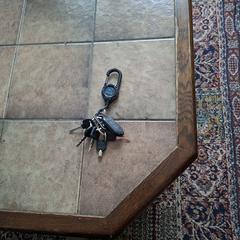 Autosleutels, como reportado ao iLost