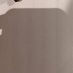 Kulcs, amint azt De Efteling az iLost segítségével jelentette.