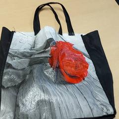 Väska - dell’Aera, rapporterat av Centraal magazijn med iLost