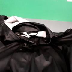 Regenjas kind, a été signalé par Diergaarde Blijdorp utilisant iLost