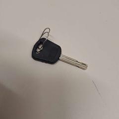 Key, as reported by Gemeente Meierijstad using iLost