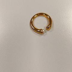 指輪 Goud がiLostで Vrije Universiteit Amsterdam によって報告されました