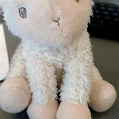 Knuffel Wie mist mij?, como reportado por Qbuzz GD Groningen HS utilizando o iLost