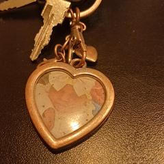 Sleutelbos, iLost'a bildirildiği gibi