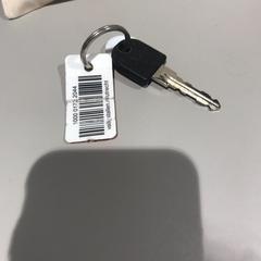 Fietssleutel, som rapportert av Bibliotheek Neude (Utrecht) ved bruk av iLost