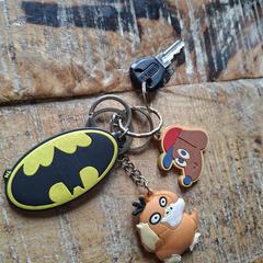 Sleutel met sleutelhanger, as reported to iLost