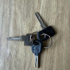 Sleutelbos, iLost'a bildirildiği gibi