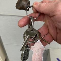 Sleutelbos, amint azt az iLostnak jelentették.