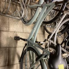 Fiets Cortina Grijs Dames 5-6-26 Ermelo, segons s'ha informat a iLost