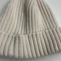 Muts, zoals gemeld door HTM met iLost