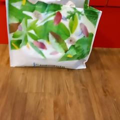 Bag, as reported by Arriva Limburg Noord using iLost