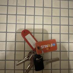 Keys, gerapporteerd met iLost