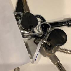 키체인 sleutels Sleutelt, iLost를 사용하여 Gemeente Amsterdam에 보고됨