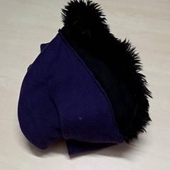 Beanie, amint azt Arriva Oost-Brabant az iLost segítségével jelentette.