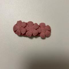 Hair clip, as reported by Fenix using iLost