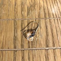 Boucle d'oreille Gold hook pearl gem, a été signalé par Conscious Hotel Museum Square utilisant iLost