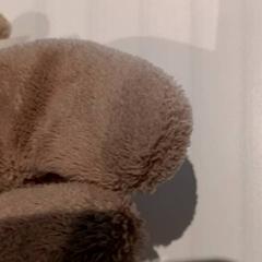 Knuffel, segons ha informat De Efteling mitjançant iLost