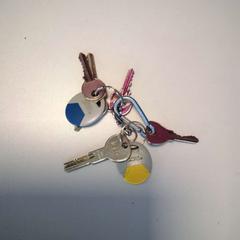 Nøkkelring, som rapportert av Twisto ved bruk av iLost