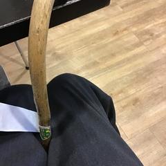 Vycházková hůl, jak nahlášeno Qbuzz U-OV pomocí iLost