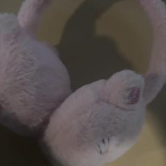 Ohrenschützer Roze, gemeldet von Jaarbeurs über iLost